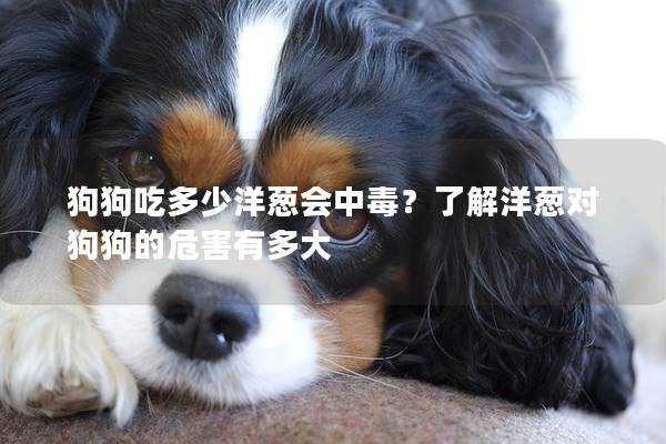 狗狗吃多少洋葱会中毒？了解洋葱对狗狗的危害有多大