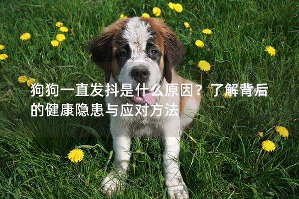 狗狗一直发抖是什么原因？了解背后的健康隐患与应对方法