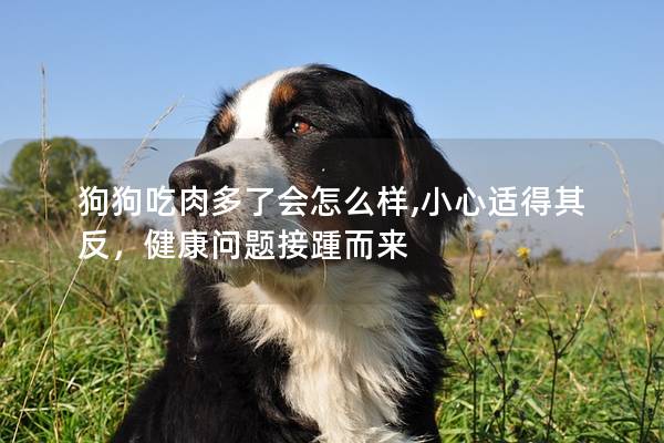 狗狗吃肉多了会怎么样,小心适得其反，健康问题接踵而来