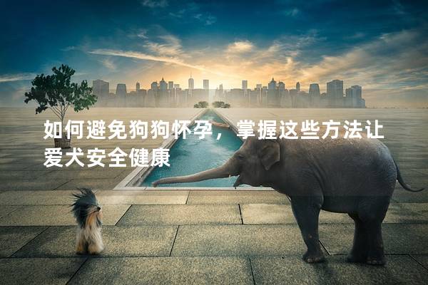 如何避免狗狗怀孕，掌握这些方法让爱犬安全健康