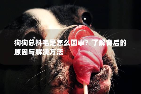 狗狗总抖毛是怎么回事？了解背后的原因与解决方法