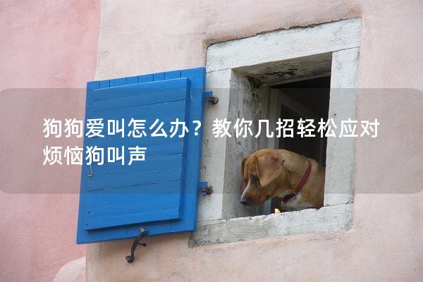 狗狗爱叫怎么办？教你几招轻松应对烦恼狗叫声