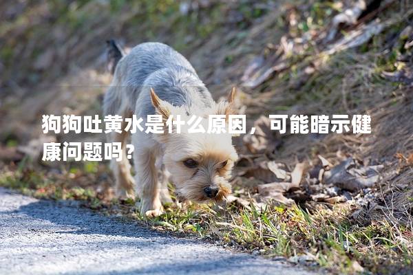 狗狗吐黄水是什么原因，可能暗示健康问题吗？