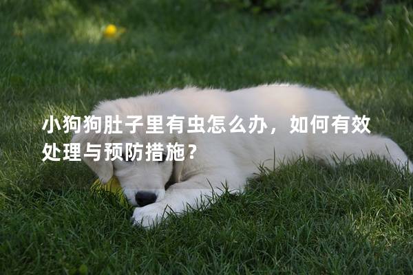 小狗狗肚子里有虫怎么办，如何有效处理与预防措施？