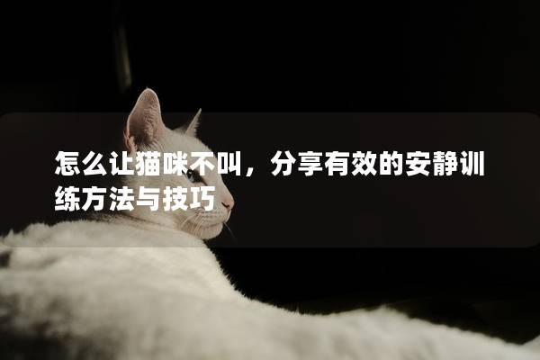 怎么让猫咪不叫，分享有效的安静训练方法与技巧
