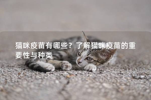 猫咪疫苗有哪些？了解猫咪疫苗的重要性与种类