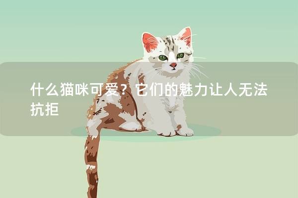 什么猫咪可爱？它们的魅力让人无法抗拒