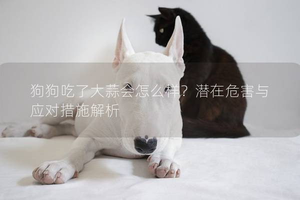狗狗吃了大蒜会怎么样？潜在危害与应对措施解析