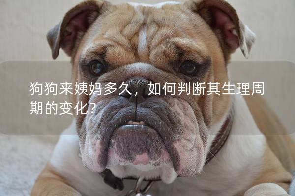 狗狗来姨妈多久，如何判断其生理周期的变化？