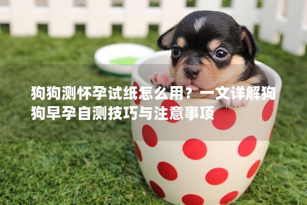 狗狗测怀孕试纸怎么用？一文详解狗狗早孕自测技巧与注意事项