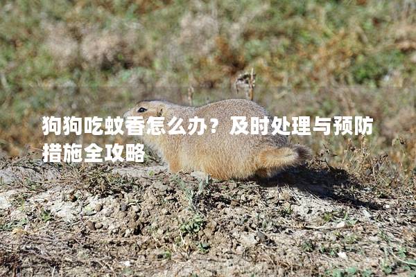 狗狗吃蚊香怎么办？及时处理与预防措施全攻略
