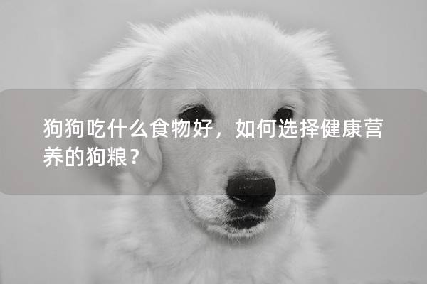 狗狗吃什么食物好，如何选择健康营养的狗粮？