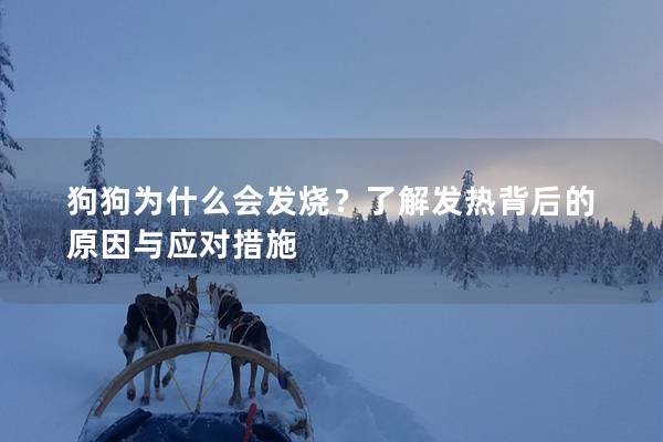 狗狗为什么会发烧？了解发热背后的原因与应对措施