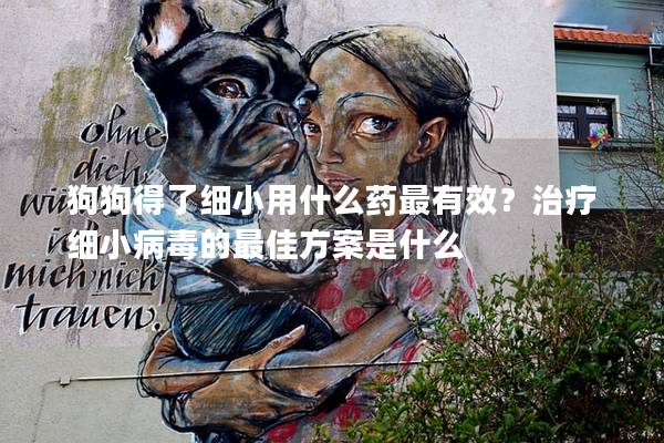 狗狗得了细小用什么药最有效？治疗细小病毒的最佳方案是什么
