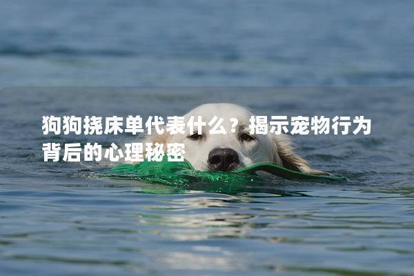 狗狗挠床单代表什么？揭示宠物行为背后的心理秘密