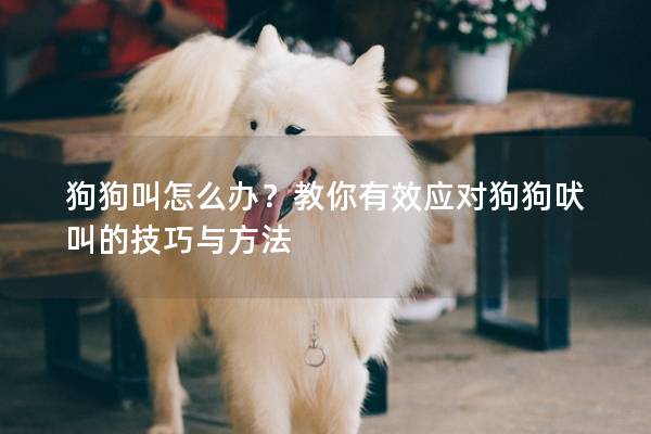 狗狗叫怎么办？教你有效应对狗狗吠叫的技巧与方法
