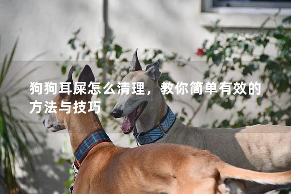 狗狗耳屎怎么清理，教你简单有效的方法与技巧