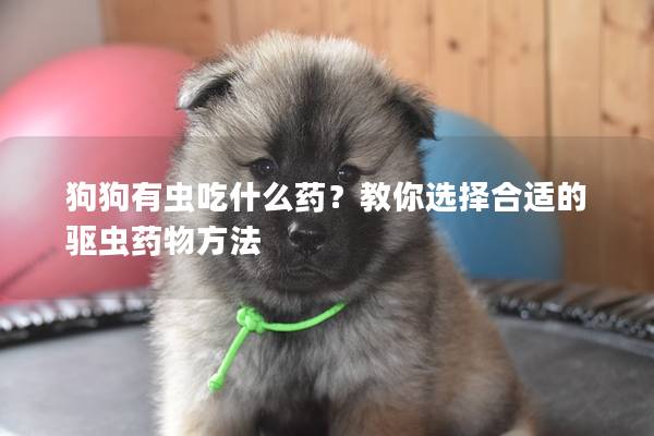 狗狗有虫吃什么药？教你选择合适的驱虫药物方法