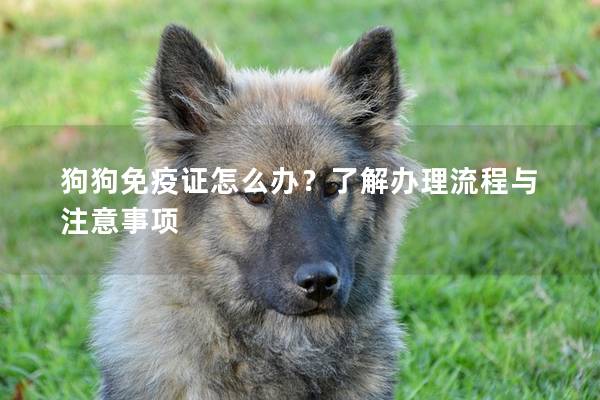狗狗免疫证怎么办？了解办理流程与注意事项