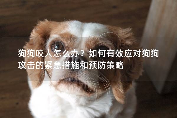 狗狗咬人怎么办？如何有效应对狗狗攻击的紧急措施和预防策略