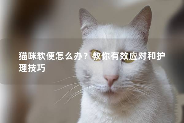 猫咪软便怎么办？教你有效应对和护理技巧