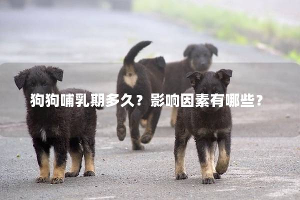 狗狗哺乳期多久？影响因素有哪些？