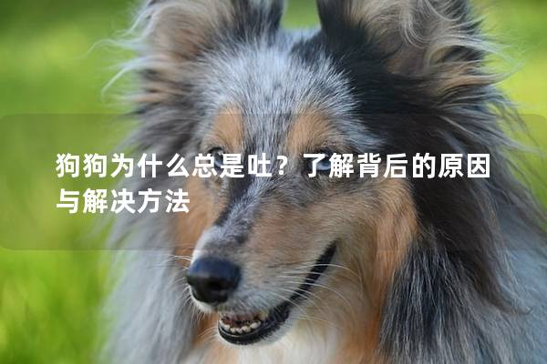 狗狗为什么总是吐？了解背后的原因与解决方法