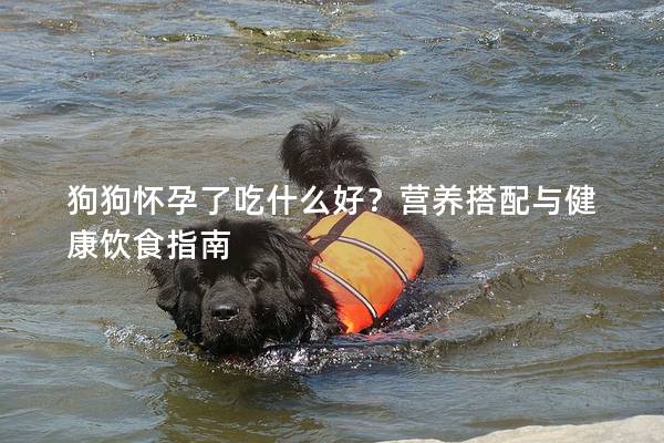 狗狗怀孕了吃什么好？营养搭配与健康饮食指南