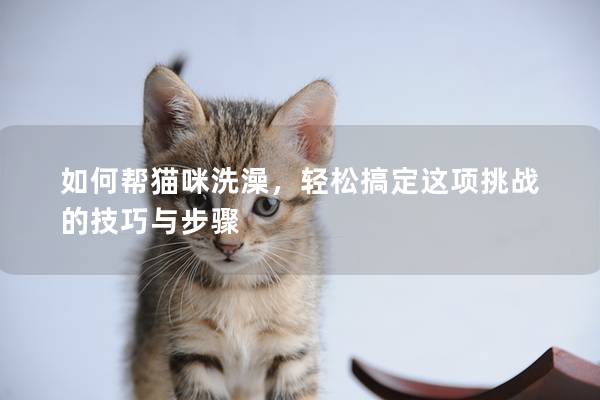 如何帮猫咪洗澡，轻松搞定这项挑战的技巧与步骤