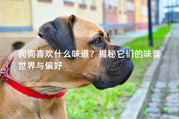 狗狗喜欢什么味道？揭秘它们的味蕾世界与偏好