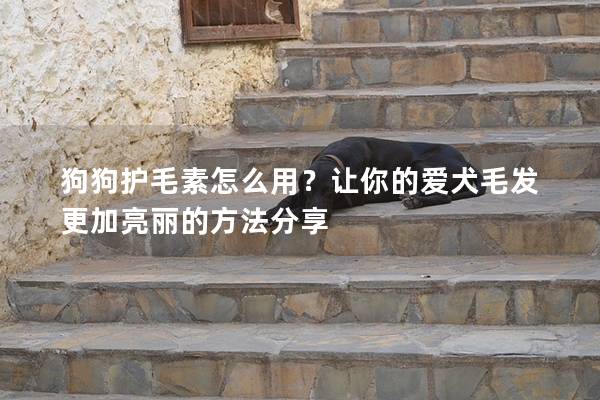 狗狗护毛素怎么用？让你的爱犬毛发更加亮丽的方法分享