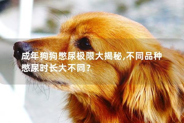 成年狗狗憋尿极限大揭秘,不同品种憋尿时长大不同？