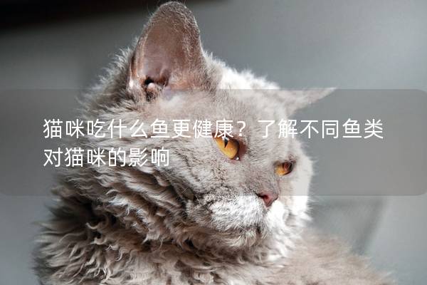 猫咪吃什么鱼更健康？了解不同鱼类对猫咪的影响