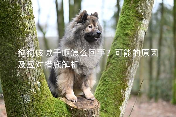 狗狗咳嗽干呕怎么回事？可能的原因及应对措施解析