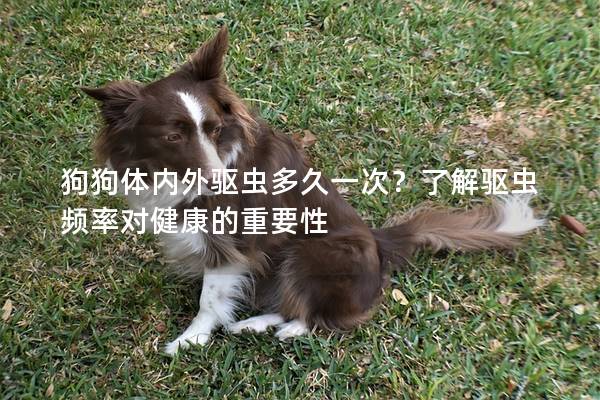 狗狗体内外驱虫多久一次？了解驱虫频率对健康的重要性