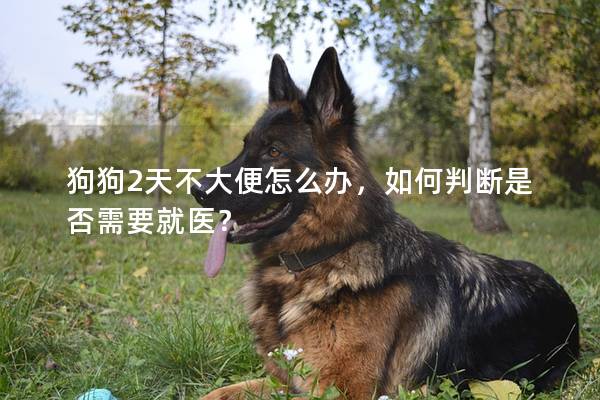 狗狗2天不大便怎么办，如何判断是否需要就医？