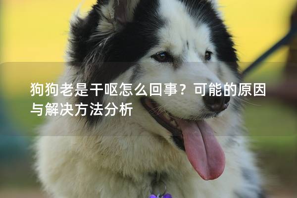 狗狗老是干呕怎么回事？可能的原因与解决方法分析