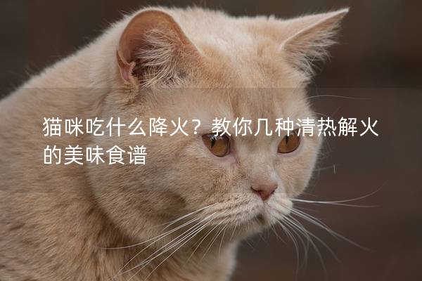 猫咪吃什么降火？教你几种清热解火的美味食谱