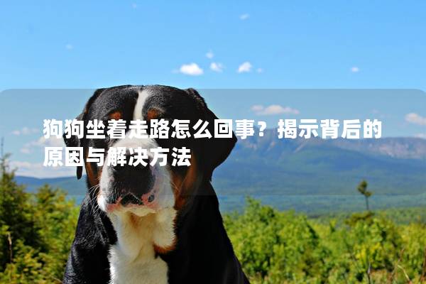 狗狗坐着走路怎么回事？揭示背后的原因与解决方法