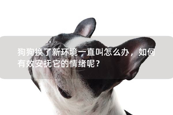 狗狗换了新环境一直叫怎么办，如何有效安抚它的情绪呢？