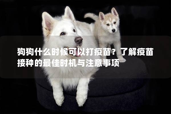 狗狗什么时候可以打疫苗？了解疫苗接种的最佳时机与注意事项