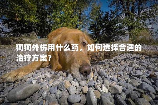 狗狗外伤用什么药，如何选择合适的治疗方案？