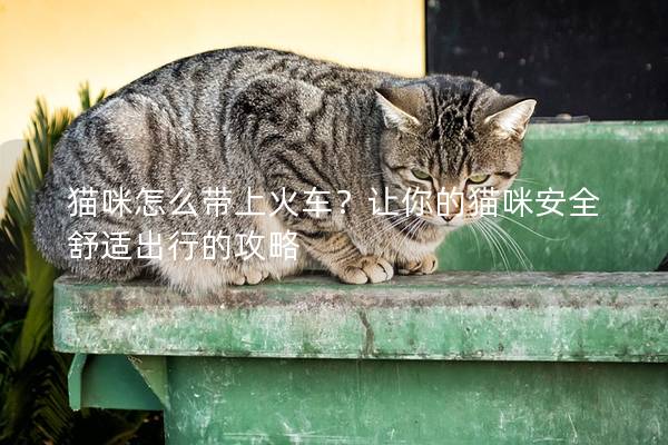 猫咪怎么带上火车？让你的猫咪安全舒适出行的攻略