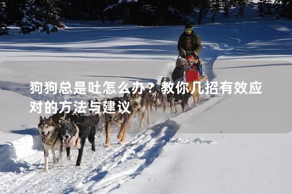 狗狗总是吐怎么办？教你几招有效应对的方法与建议