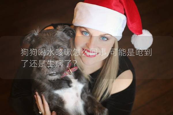 狗狗喝水咳嗽怎么回事,可能是呛到了还是生病了？
