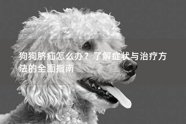 狗狗脐疝怎么办？了解症状与治疗方法的全面指南
