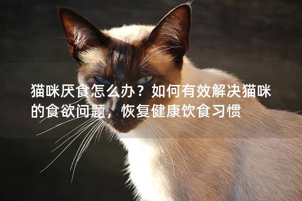 猫咪厌食怎么办？如何有效解决猫咪的食欲问题，恢复健康饮食习惯