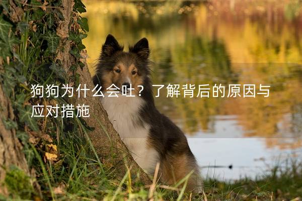 狗狗为什么会吐？了解背后的原因与应对措施