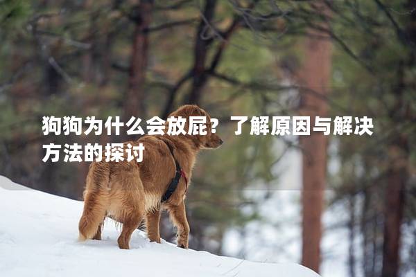 狗狗为什么会放屁？了解原因与解决方法的探讨