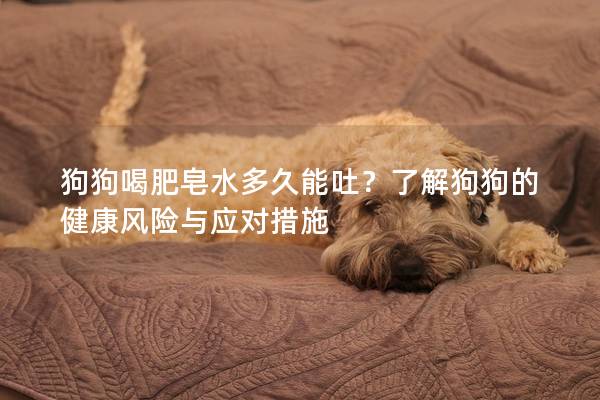狗狗喝肥皂水多久能吐？了解狗狗的健康风险与应对措施